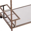 Pemberly Row Glass Mirrored Metal Bar Cart in Champagne Finish