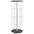 Pemberly Row Hexagonal Contemporary Glass Curio Cabinet in Black