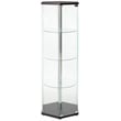 Pemberly Row Hexagonal Contemporary Glass Curio Cabinet in Black