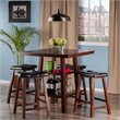 Pemberly Row 5-Piece Square Counter Height Solid Wood Dining Set in Walnut