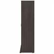 Pemberly Row Universal Tall Engineered Wood Storage Cabinet in Storm Gray