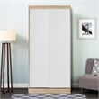 Pemberly Row Modern Multi-Color Wood Double Sliding Door Wardrobe