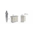 Pemberly Row Modern / Contemporary Wood Kitchen Cart in Off White