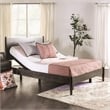 Pemberly Row Metal Black Finish Single Motor Queen Adjustable Bed