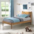 Pemberly Row Mid-Century Wood Twin Panel Bed in Castanho Brown