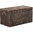 Pemberly Row Mid-Century Wicker / Rattan Storage Trunk in Brown