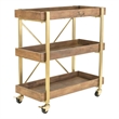 Pemberly Row Modern / Contemporary Riley Wooden Kitchen Bar Cart Gold