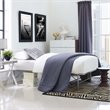 Pemberly Row Modern Stainless Steel Twin Metal Bed Frame in Silver