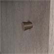 Pemberly Row Engineered Wood L-Shaped Desk in Ashen Oak Finish