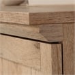 Pemberly Row Contemporary Engineered Wood Storage Cabinet in Prime Oak
