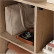 Pemberly Row Contemporary Engineered Wood Storage Cabinet in Prime Oak