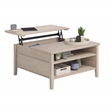 Pemberly Row Engineered Wood Lift Top Coffee Table in Cascade Oak Finish