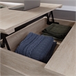 Pemberly Row Engineered Wood Lift Top Coffee Table in Cascade Oak Finish