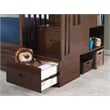 Pemberly Row Full over Full Solid Wood Bunk Bed with Trundle in Walnut