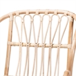 Pemberly Row Modern Bohemian Natural Brown Rattan and Black Metal Chair