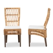 Pemberly Row Modern Natural Brown Rattan 2-Piece Dining Chair Set