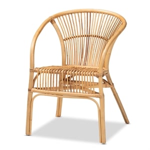 Pemberly Row Modern Bohemian Natural Brown Rattan Dining Chair
