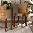 Pemberly Row Modern Natural Rattan and Mahogany Wood Counter Stool