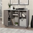 Pemberly Row Modern Engineered Wood Accent Storage in Ashen Oak