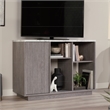 Pemberly Row Modern Engineered Wood Accent Storage in Ashen Oak