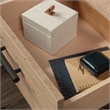 Pemberly Row Engineered Wood Night Stand in Prime Oak Finish