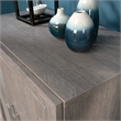 Pemberly Row Engineered Wood Base Cabinet in Ashen Oak Finish