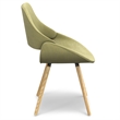 Pemberly Row Bentwood Dining Chair with Light Wood in Acid Green Woven Fabric