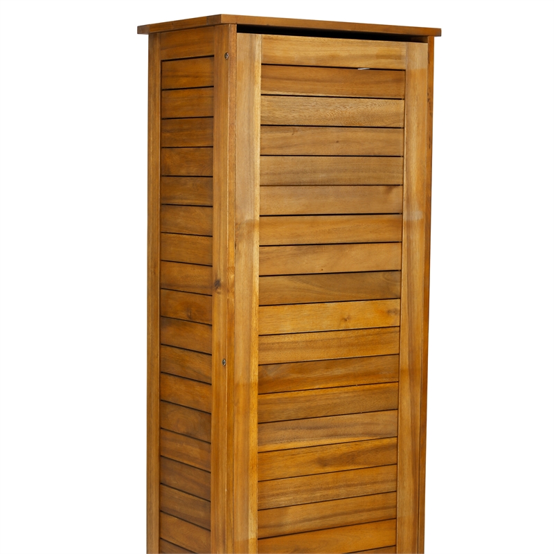 Pemberly Row Contemporary Wood Storage Cabinet in Brown Finish