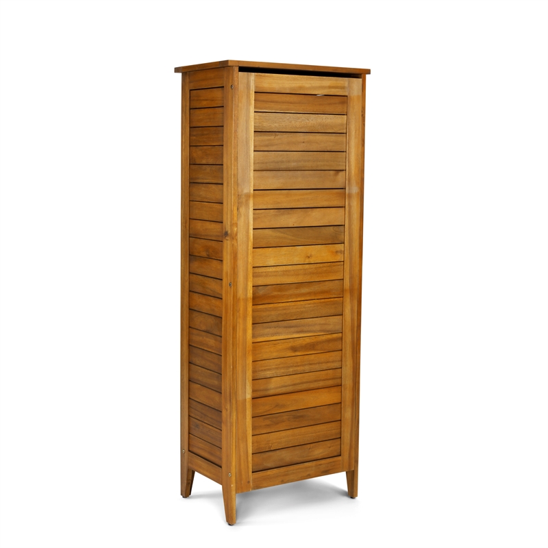 Pemberly Row Contemporary Wood Storage Cabinet in Brown Finish
