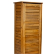 Pemberly Row Contemporary Wood Storage Cabinet in Brown Finish