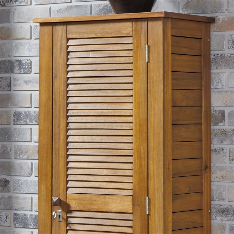 Pemberly Row Contemporary Wood Storage Cabinet in Brown Finish