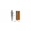 Pemberly Row Contemporary Wood Storage Cabinet in Brown Finish