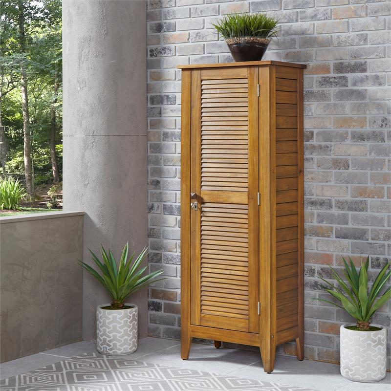 Pemberly Row Contemporary Wood Storage Cabinet in Brown Finish