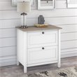 Pemberly Row Engineered Wood 2 Drawer Lateral File Cabinet in Gray / White