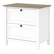 Pemberly Row Engineered Wood 2 Drawer Lateral File Cabinet in Gray / White