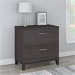 Pemberly Row Contemporary 2 Drawer Lateral File Cabinet in Storm Gray