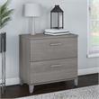 Pemberly Row 2 Drawer Lateral File Cabinet in Platinum Gray - Engineered Wood