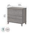 Pemberly Row 2 Drawer Lateral File Cabinet in Platinum Gray - Engineered Wood