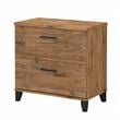 Pemberly Row 2 Drawer Lateral File Cabinet in Fresh Walnut - Engineered Wood
