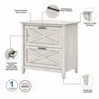 Pemberly Row 2 Drawer Lateral File Cabinet in Linen White Oak - Engineered Wood