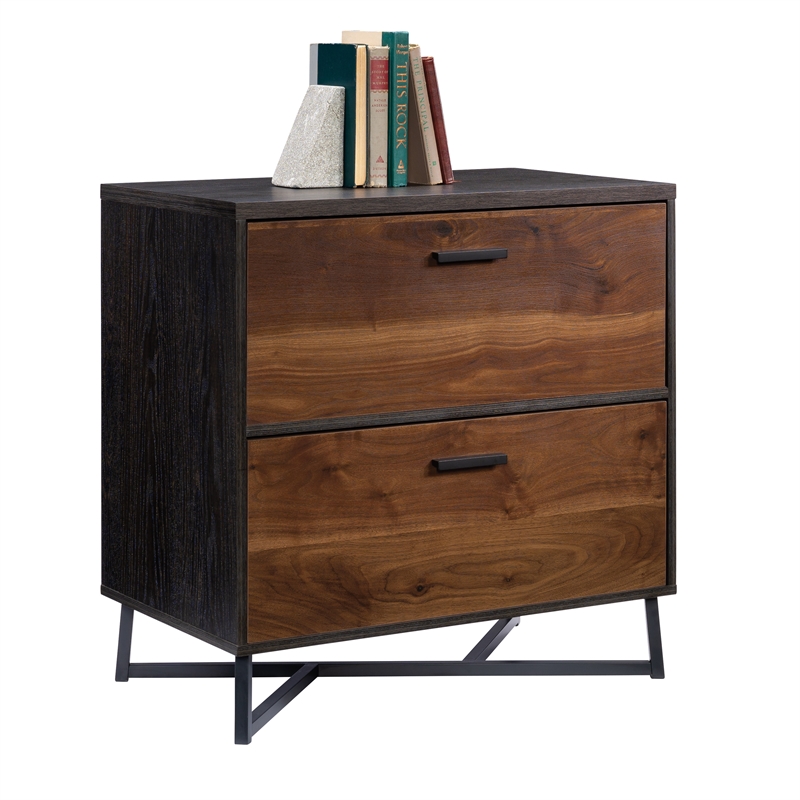 Pemberly Row Contemporary Engineered Wood/Metal Lateral File in Brew Oak