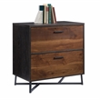 Pemberly Row Contemporary Engineered Wood/Metal Lateral File in Brew Oak