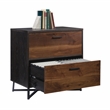 Pemberly Row Contemporary Engineered Wood/Metal Lateral File in Brew Oak