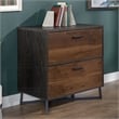 Pemberly Row Contemporary Engineered Wood/Metal Lateral File in Brew Oak