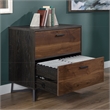 Pemberly Row Contemporary Engineered Wood/Metal Lateral File in Brew Oak