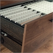 Pemberly Row Contemporary Engineered Wood/Metal Lateral File in Brew Oak
