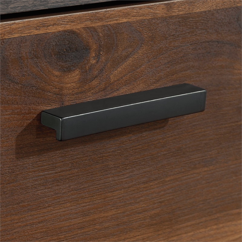 Pemberly Row Contemporary Engineered Wood/Metal Lateral File in Brew Oak