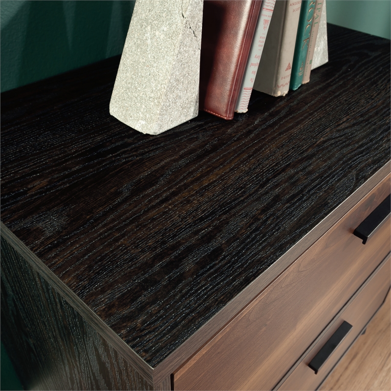 Pemberly Row Contemporary Engineered Wood/Metal Lateral File in Brew Oak