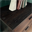 Pemberly Row Contemporary Engineered Wood/Metal Lateral File in Brew Oak