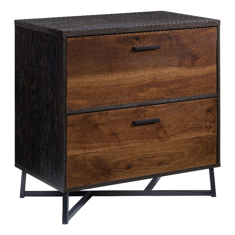Pemberly Row Contemporary Engineered Wood/Metal Lateral File in Brew Oak